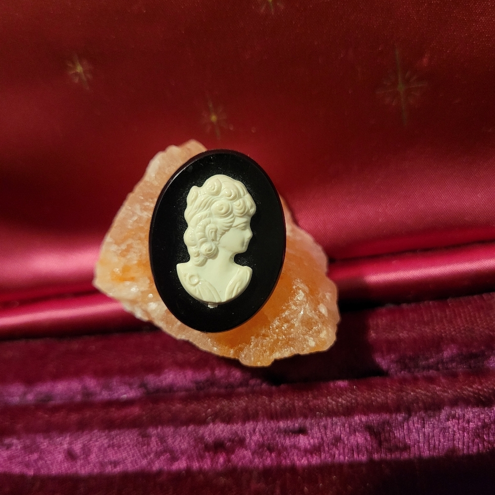 Vintage Collection of Cameo Silhouette - Picture 3 of 9